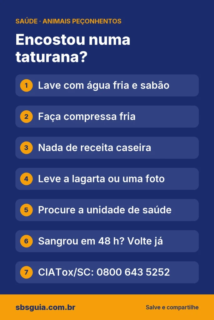 Encostou numa taturana?: Lave com água fria e sabão; Faça compressa fria; Nada de receita caseira; Leve a lagarta ou uma foto; Procure a unidade de saúde; Sangrou em 48 h? Volte já; CIATox/SC: 0800 643 5252.