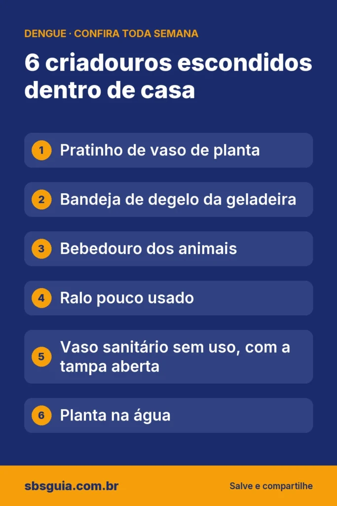 6 criadouros escondidos dentro de casa: Pratinho de vaso de planta; Bandeja de degelo da geladeira; Bebedouro dos animais; Ralo pouco usado; Vaso sanitário sem uso, com a tampa aberta; Planta na água.