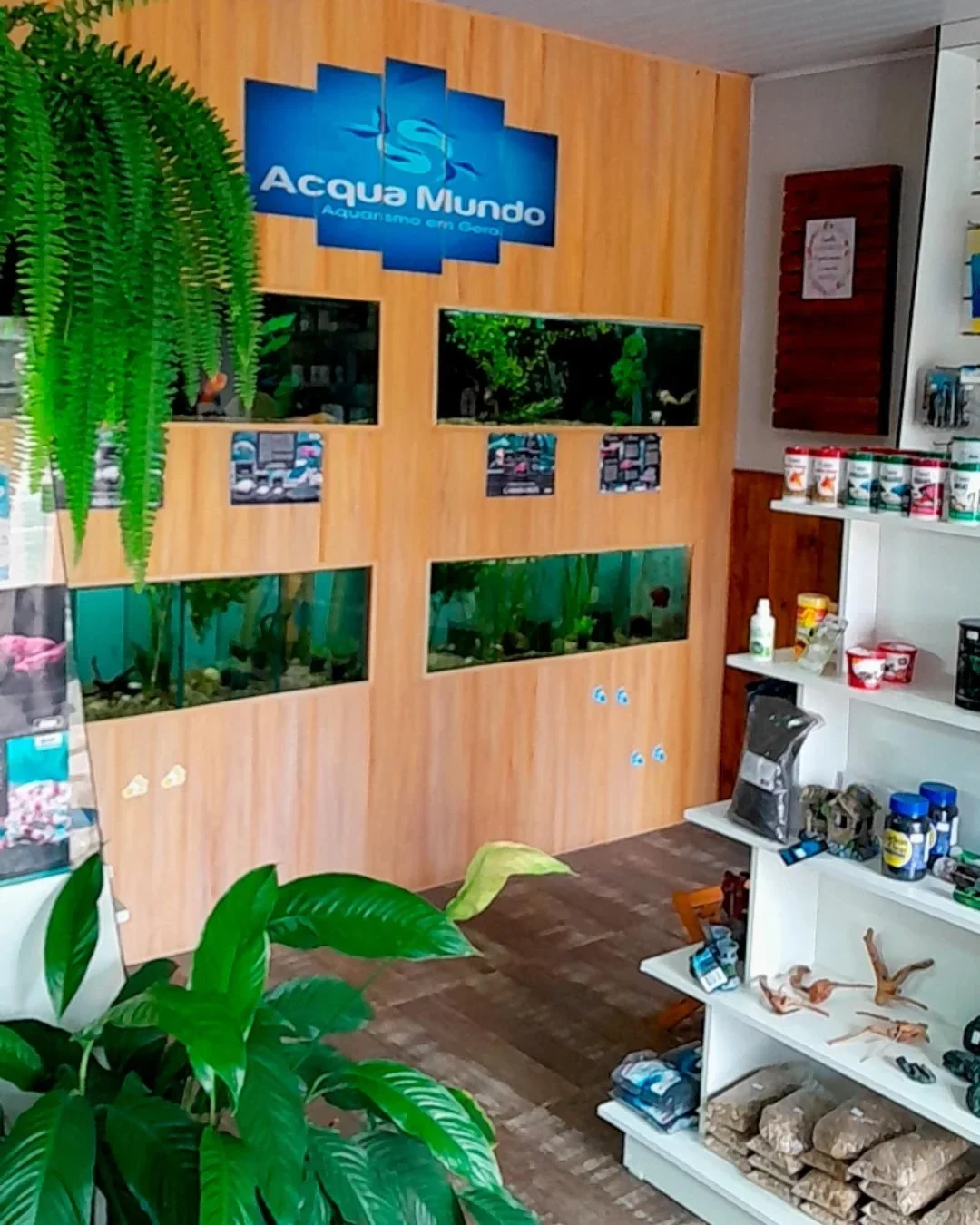 Acqua Mundo Aquarismo