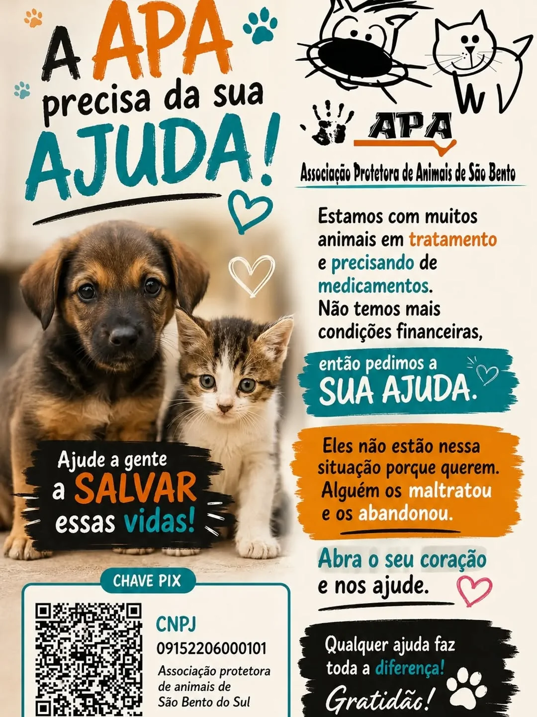 APASBS – Associação Protetora dos Animais — Entidades e ONGs em São Bento do Sul-SC (foto 4)